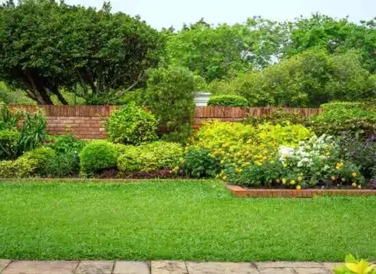 landscaping services Rawls Springs